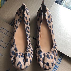 Cheetah Flats